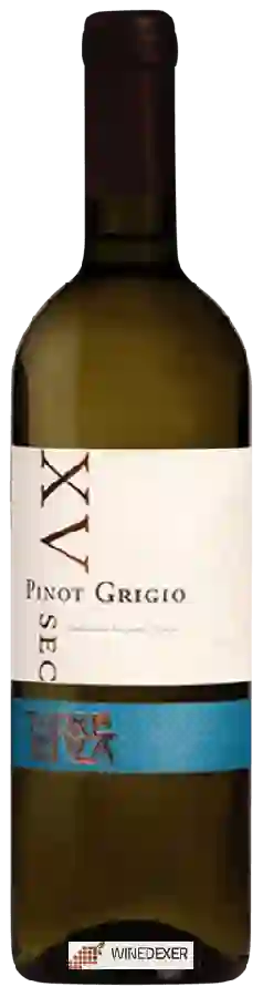 Weingut Torre Terza - Xv Sec Pinot Grigio Weingut Torre Terza - Xv Sec Pinot Grigio