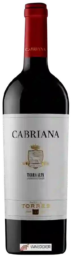 Weingut Torres - Cabriana Terra Alta