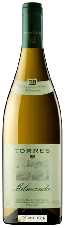 Weingut Torres - Milmanda Weingut Torres - Milmanda