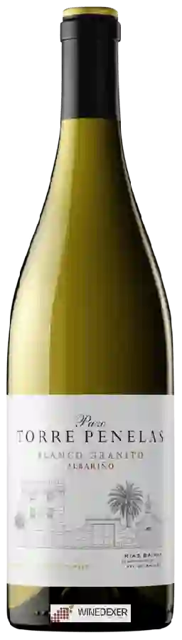 Weingut Torres - Pazo Torre Penelas Albariño Weingut Torres - Pazo Torre Penelas Albariño