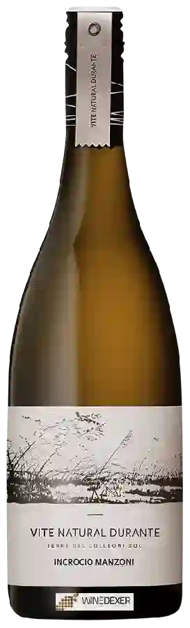 Weingut Tosca - Vite Natural Durante Incrocio Manzoni Weingut Tosca - Vite Natural Durante Incrocio Manzoni