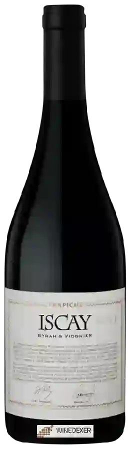 Weingut Trapiche - Iscay Syrah - Viognier Weingut Trapiche - Iscay Syrah - Viognier
