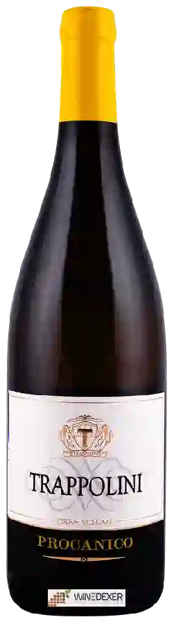 Weingut Trappolini - Procanico Weingut Trappolini - Procanico