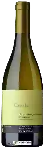 Weingut Triacca - Terrazze Retiche di Sondrio Sauvignon