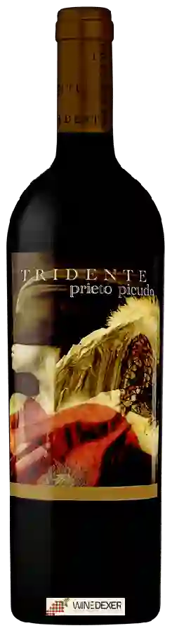 Weingut Tridente - Prieto Picudo Weingut Tridente - Prieto Picudo