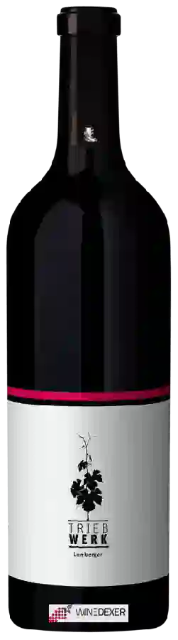 Weingut Triebwerk - Lemberger Trocken Weingut Triebwerk - Lemberger Trocken