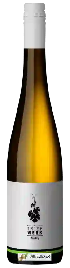 Weingut Triebwerk - Riesling Trocken Weingut Triebwerk - Riesling Trocken