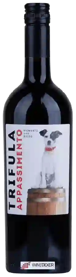Weingut Trifula - Rosso Appassimento Piemonte Weingut Trifula - Rosso Appassimento Piemonte