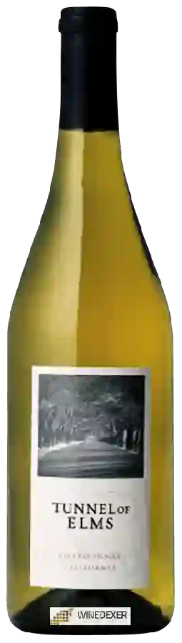 Weingut Tunnel of Elms - Chardonnay
