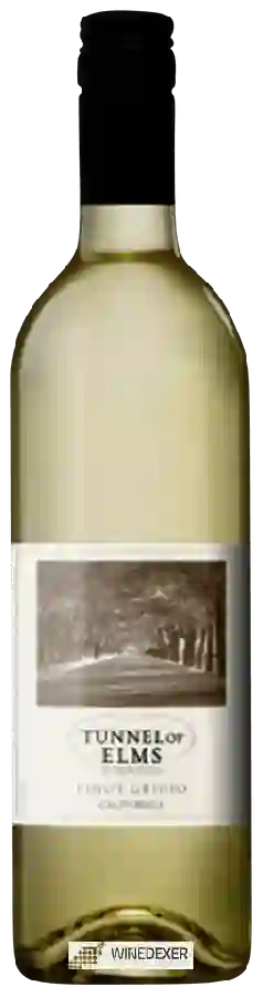 Weingut Tunnel of Elms - Pinot Grigio Weingut Tunnel of Elms - Pinot Grigio