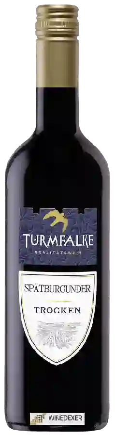 Weingut Turmfalke - Spätburgunder Trocken Weingut Turmfalke - Spätburgunder Trocken