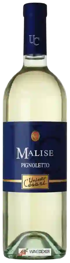 Weingut Umberto Cesari - Malise Pignoletto