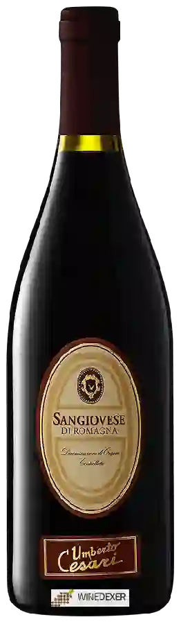 Weingut Umberto Cesari - Sangiovese di Romagna Weingut Umberto Cesari - Sangiovese di Romagna