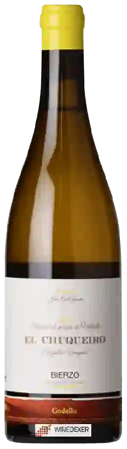Weingut Jose Antonio García - Singular Vineyard El Chuqueiro Godello