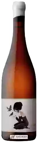 Weingut Unico Zelo - Alluvium