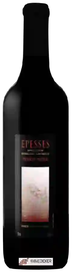 Weingut Union Vinicole Cully - Epesses Pinot Noir