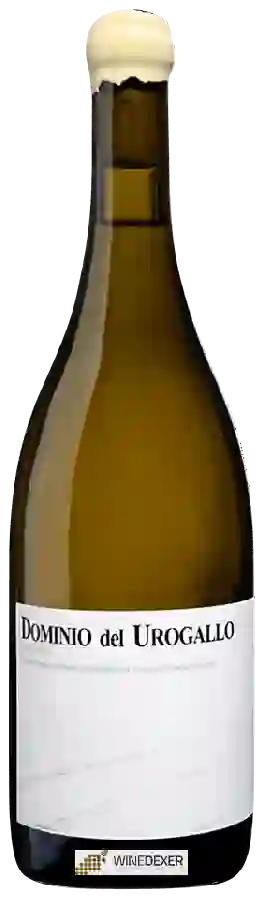 Weingut Dominio del Urogallo - Las Yolas Weingut Dominio del Urogallo - Las Yolas