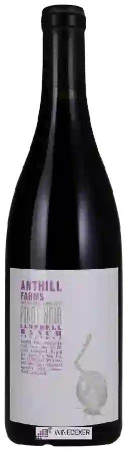 Weingut Anthill Farms - Campbell Ranch Pinot Noir
