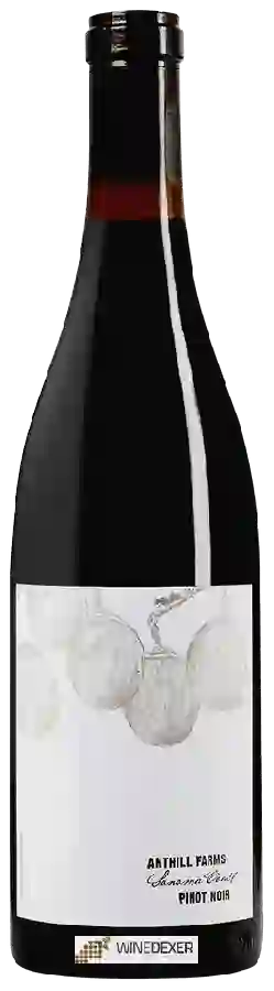 Weingut Anthill Farms - Sonoma Coast Pinot Noir