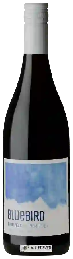 Weingut Bluebird - Pinot Noir Weingut Bluebird - Pinot Noir