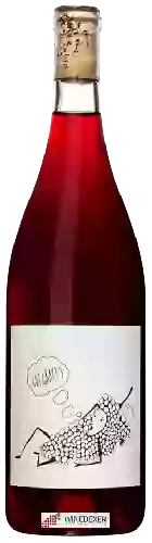 Weingut Broc Cellars - Got Grapes Valdiguié