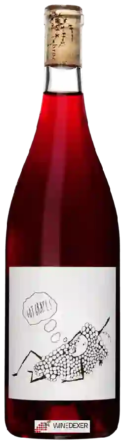 Weingut Broc Cellars - Got Grapes Valdiguié