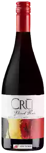 Weingut Crū - Vineyard Montage Pinot Noir