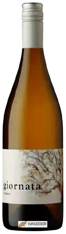 Weingut Giornata - Il Campo Bianco