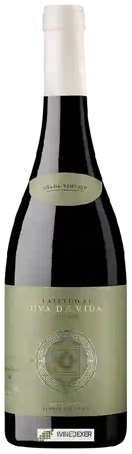 Weingut Uva de Vida - Latitud 40 Graciano Weingut Uva de Vida - Latitud 40 Graciano