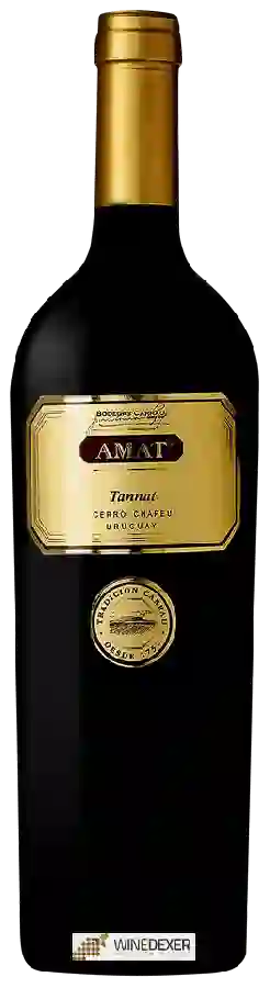 Bodegas Carrau - Amat Tannat