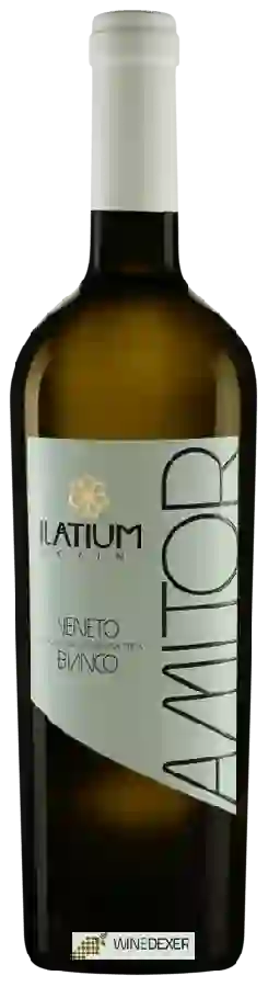 Weingut Latium Morini - Amitor