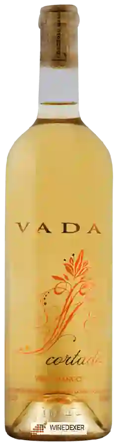 Weingut Vada - Cortado Bianco