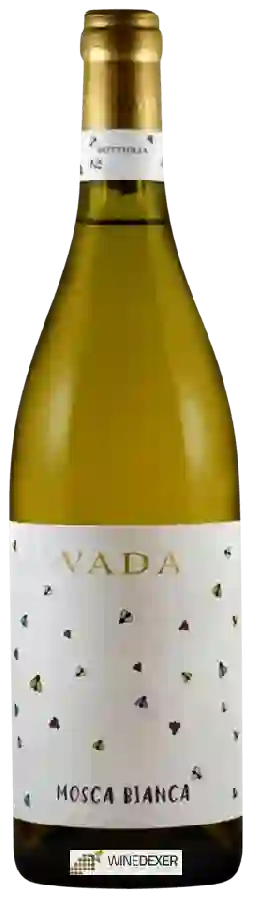 Weingut Vada - Mosca Bianca