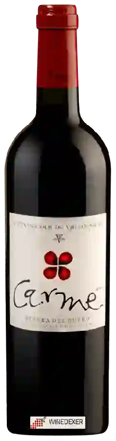 Weingut Vitivinicola de Valbuena - Carme Tinto