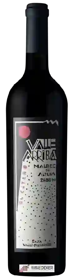 Weingut Valle Arriba - El Cateño Malbec de Altura Weingut Valle Arriba - El Cateño Malbec de Altura