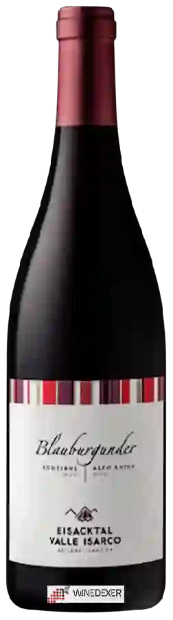Weingut Eisacktaler Kellerei Cantina Valle Isarco - Blauburgunder Weingut Eisacktaler Kellerei Cantina Valle Isarco - Blauburgunder