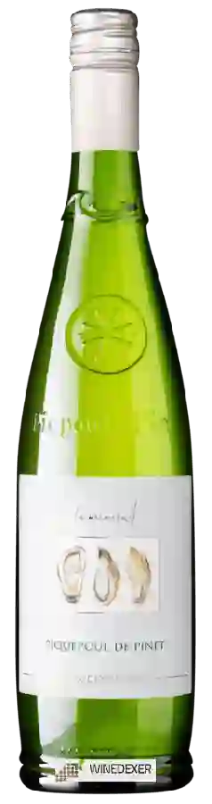 Weingut Vallée des Aigles - Le Mineral