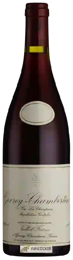 Weingut Vallet Frères - Gevrey-Chambertin 1er Cru 'Les Champeaux'