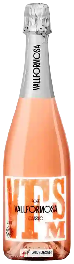 Weingut Vallformosa - Cava Clàssic Brut Rosé