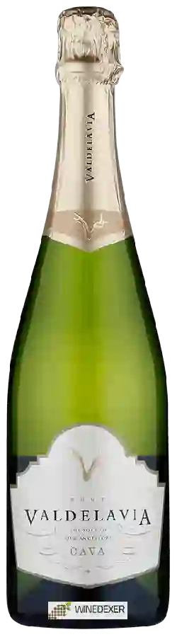 Weingut Vallformosa - Cava Valdelavia Brut