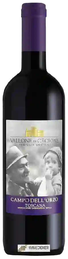 Weingut Vallone di Cecione - Campo dell'Orzo Weingut Vallone di Cecione - Campo dell'Orzo