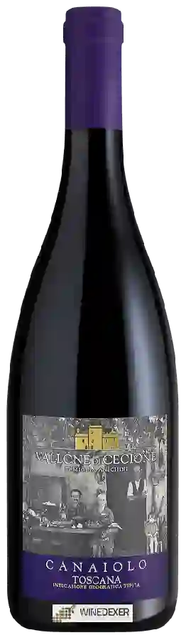 Weingut Vallone di Cecione - Canaiolo