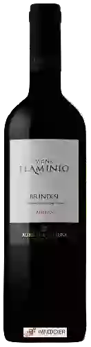 Weingut Vallone - Vigna Flaminio Brindisi Riserva