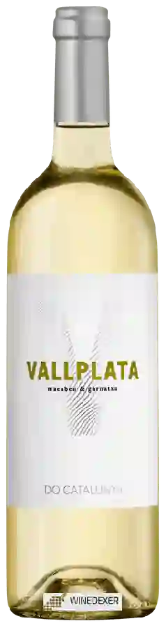 Weingut Vallplata - Macabeu - Garnatxa Blanca Weingut Vallplata - Macabeu - Garnatxa Blanca