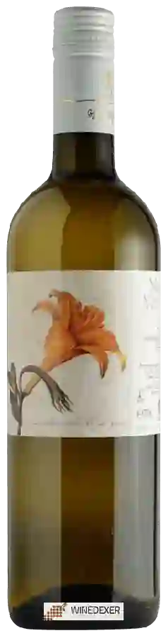 Weingut Marta Valpiani - Bianco Weingut Marta Valpiani - Bianco