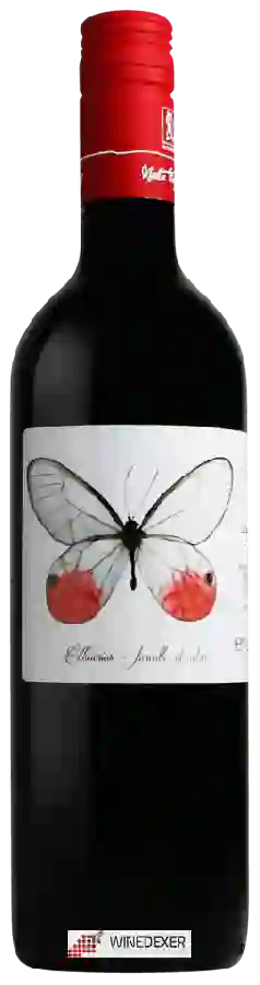 Weingut Marta Valpiani - La Farfalla Sangiovese Weingut Marta Valpiani - La Farfalla Sangiovese