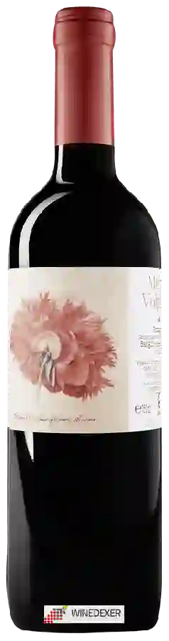 Weingut Marta Valpiani - Sangiovese Superiore Rosso