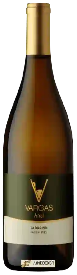 Weingut Vargas - Aha! Albariño Weingut Vargas - Aha! Albariño