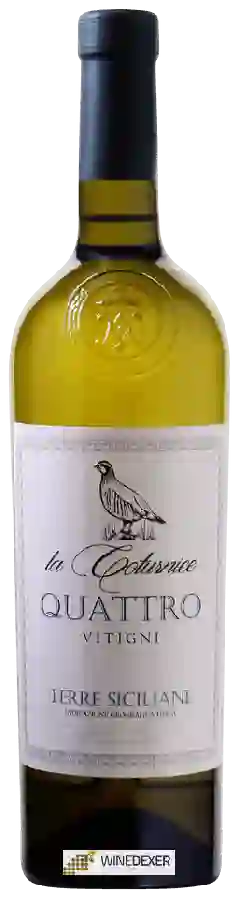 Weingut Barbanera - La Coturnice Quattro Vitigni