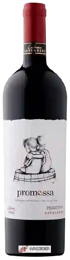 Weingut Barbanera - Promessa Primitivo Weingut Barbanera - Promessa Primitivo